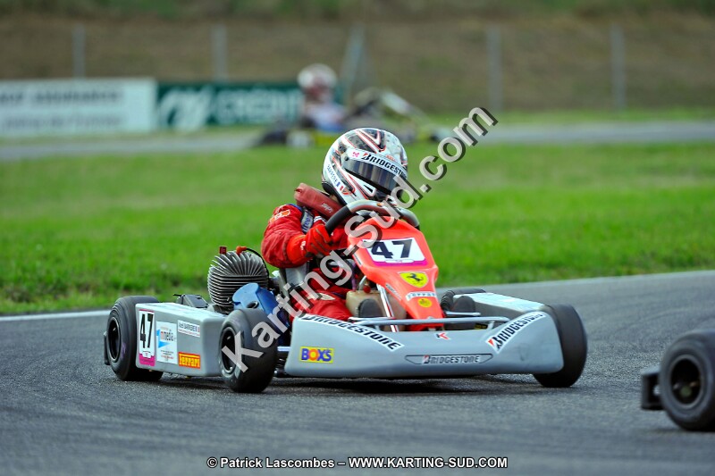 DSC_ (870).jpg